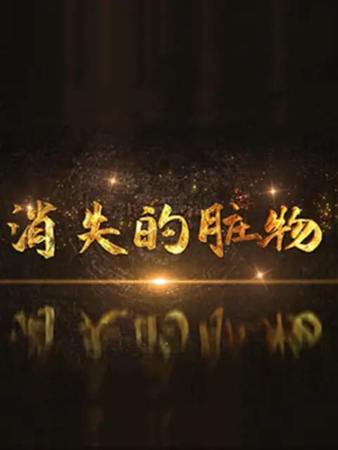 消失的脏物