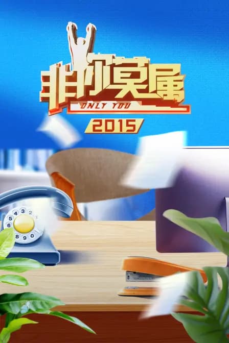 非你莫属 2015